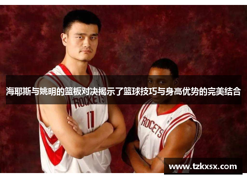 海耶斯与姚明的篮板对决揭示了篮球技巧与身高优势的完美结合