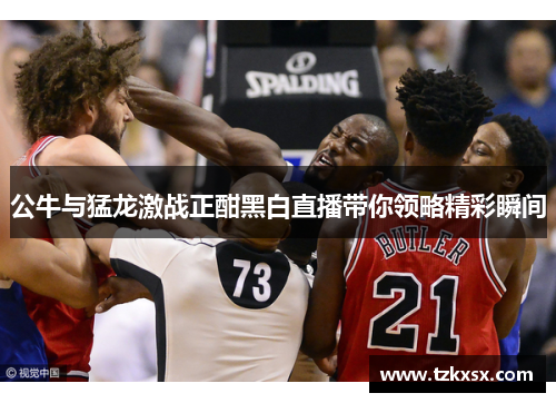 公牛与猛龙激战正酣黑白直播带你领略精彩瞬间