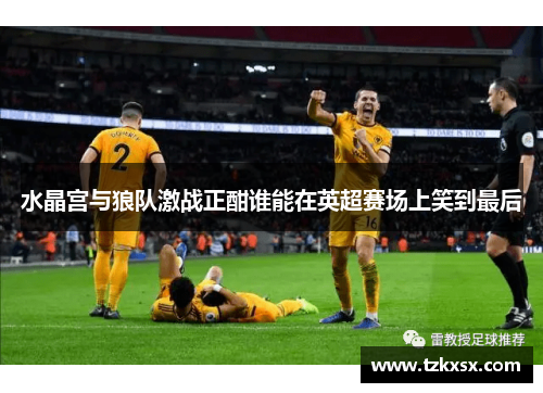 水晶宫与狼队激战正酣谁能在英超赛场上笑到最后