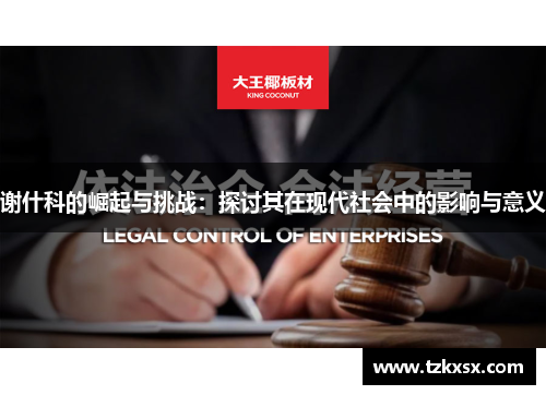 谢什科的崛起与挑战：探讨其在现代社会中的影响与意义